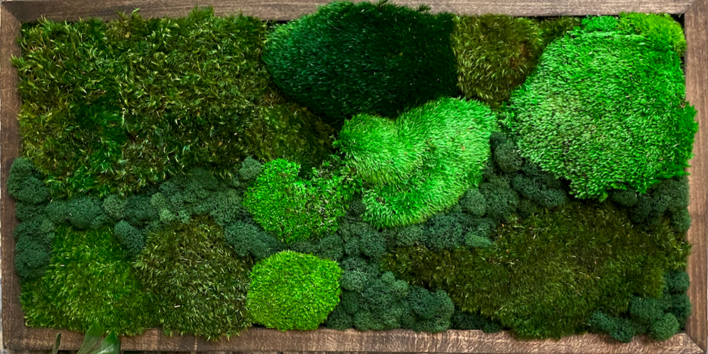 2' x 2' Nature Frame — PLANTHROPY